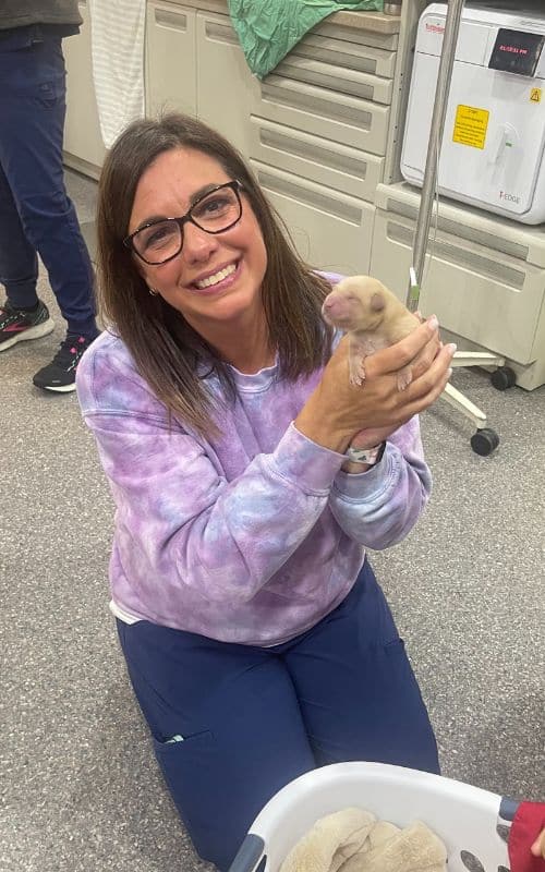 Stephanie, Veterinary Assistant